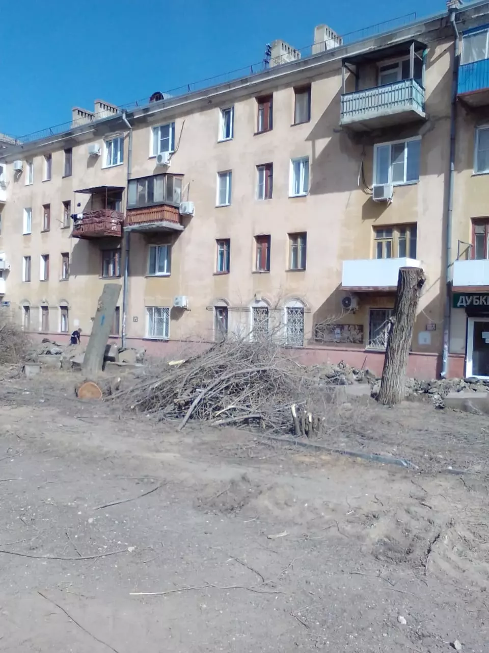 В Волгограде снесли деревья в парке