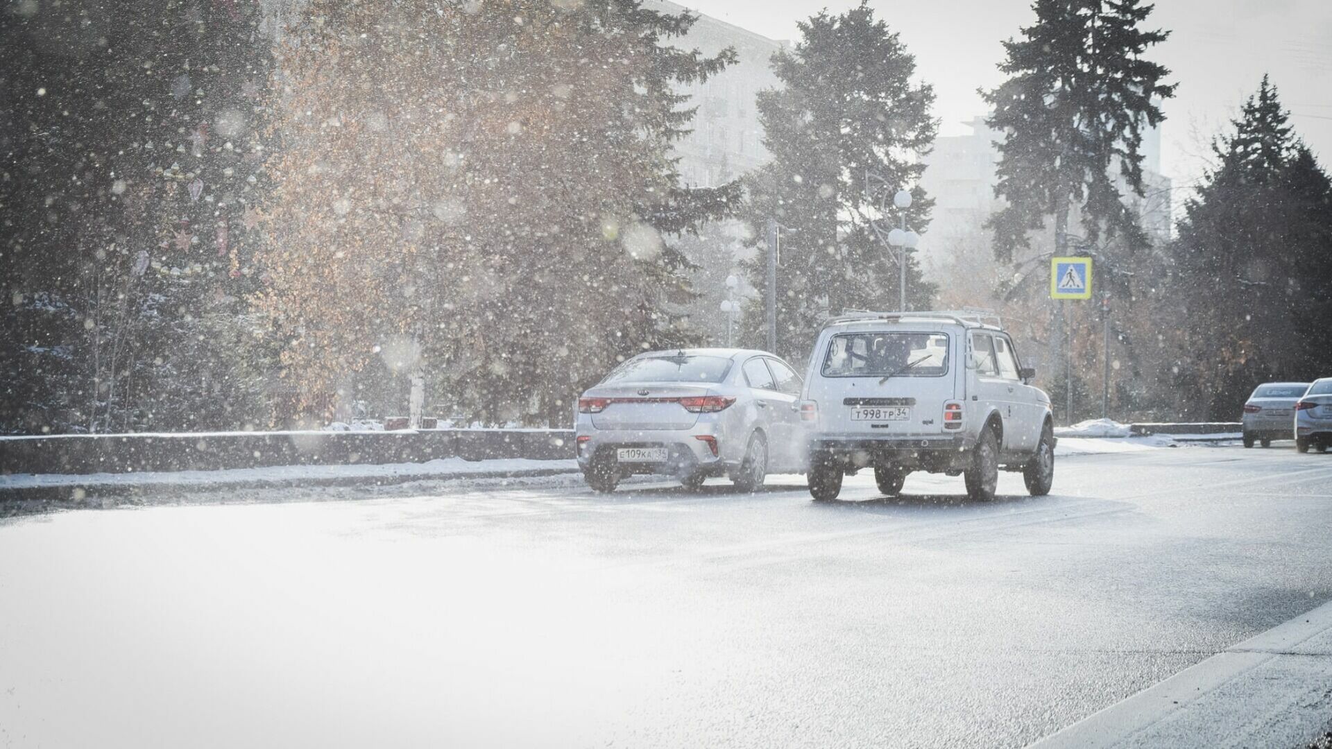 Снег и плюсовая температура ожидаются в Волгоградской области 1 февраля