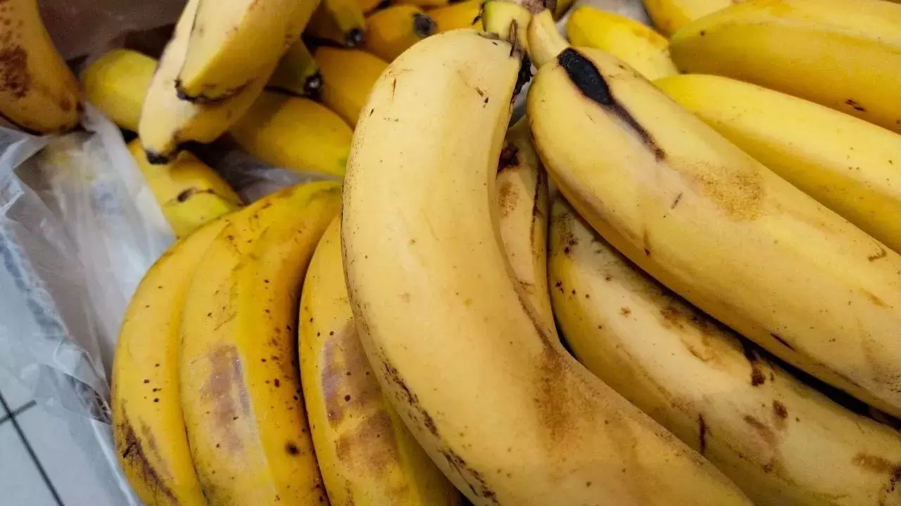 Скоро в России будут продавать бананы из Индии