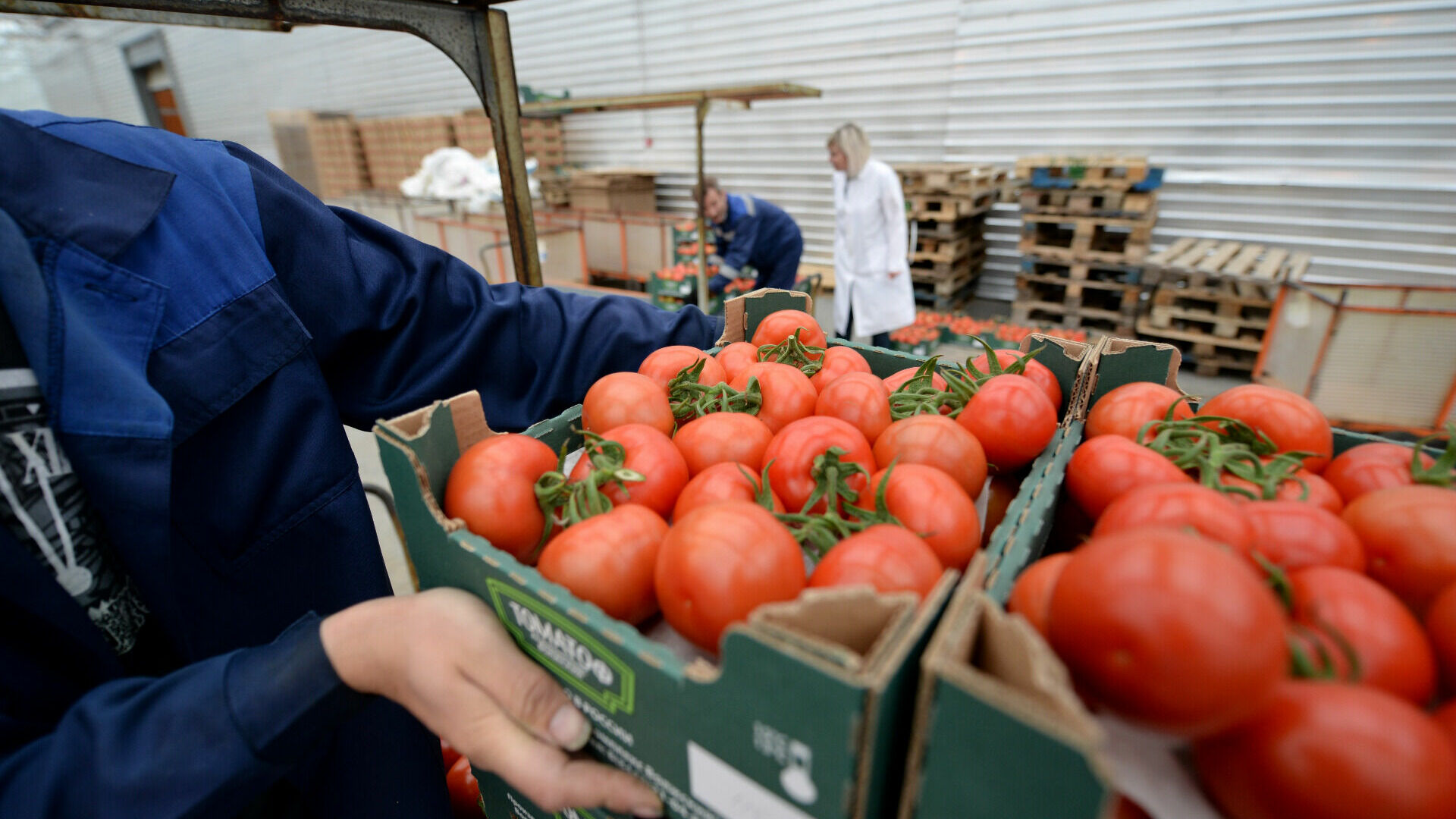 Цены на помидоры, сметану и молочные смеси взлетели в Волгограде