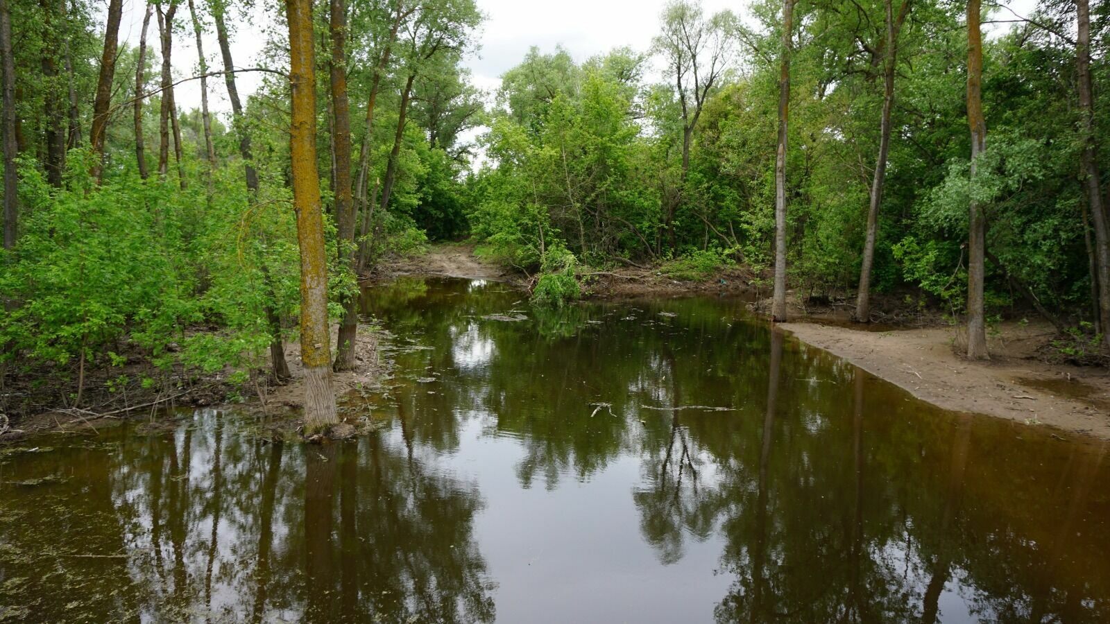 Расчистка Ахтубы, трёх ериков и 13 озёр началась в Волгоградской области