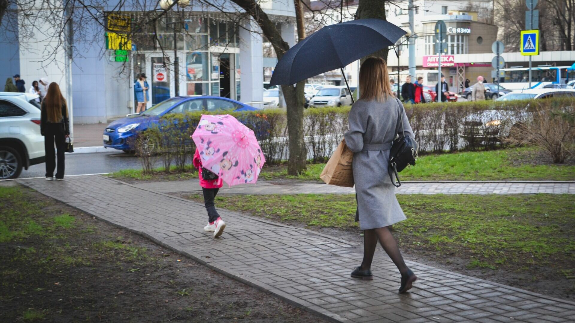 Дожди и похолодание до 2 градусов прогнозируют в Волгоградской области