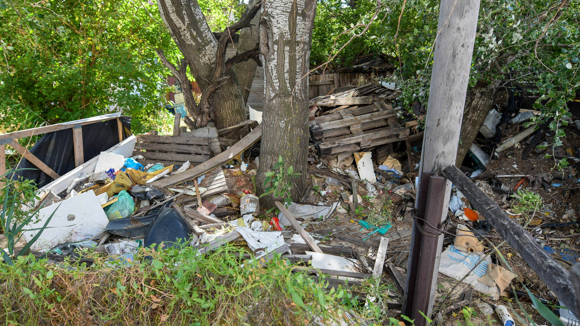 Мэрия подсчитала объемы незаконного мусора на улицах Волгограда