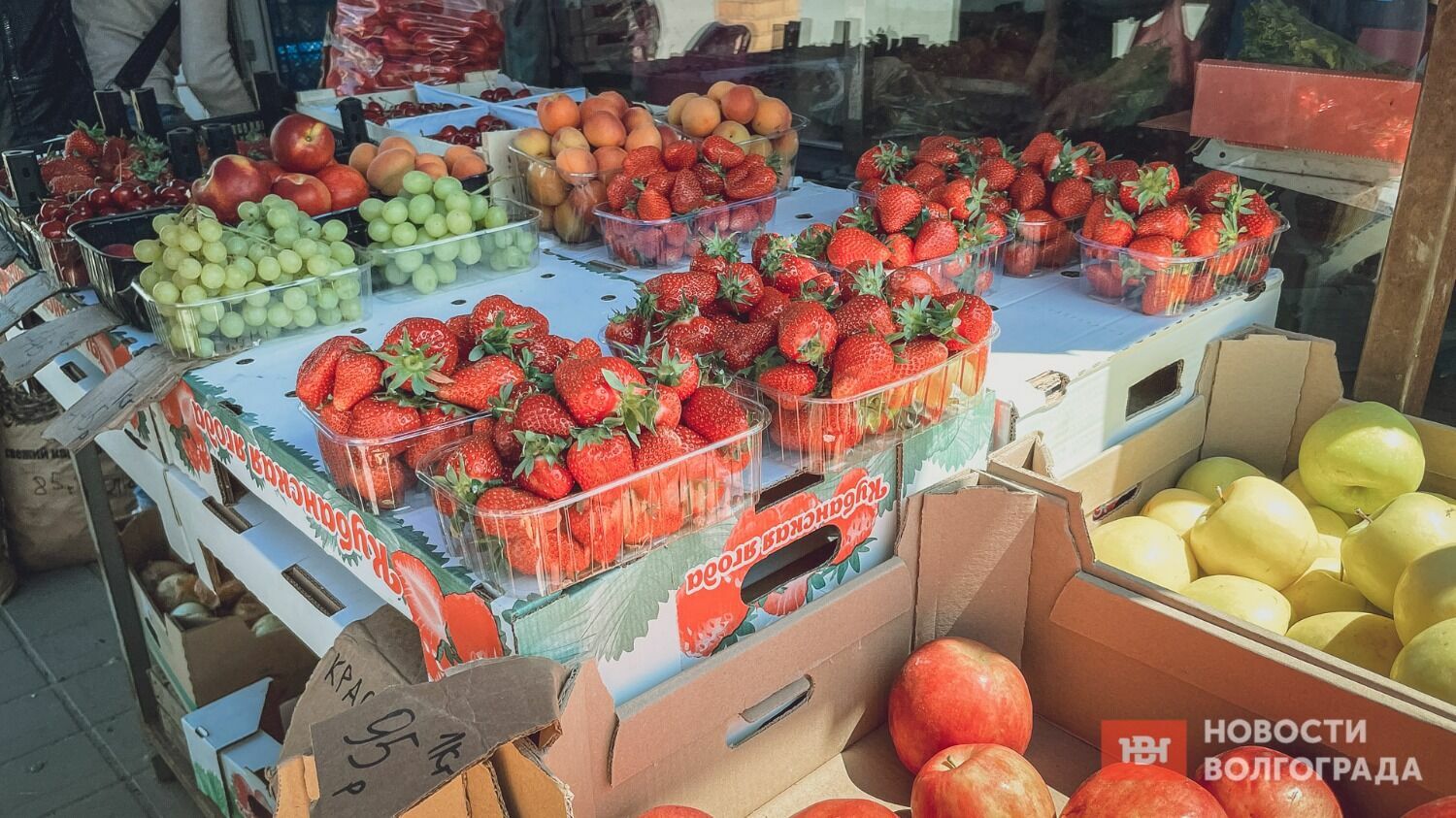 Хотя клубники и много, местной ягоды на рынках Волгограда пока не сыщешь