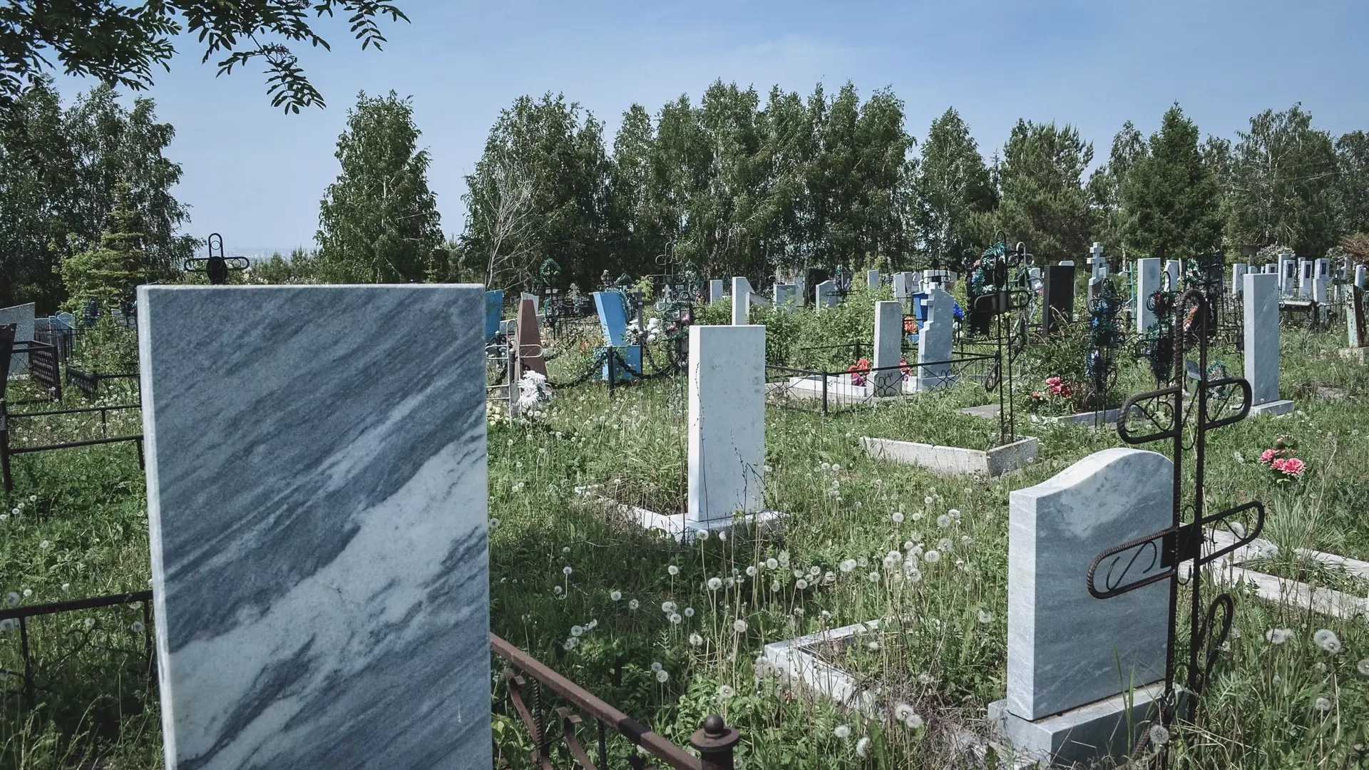 В Волгограде запретили заезжать на кладбища на автомобилях