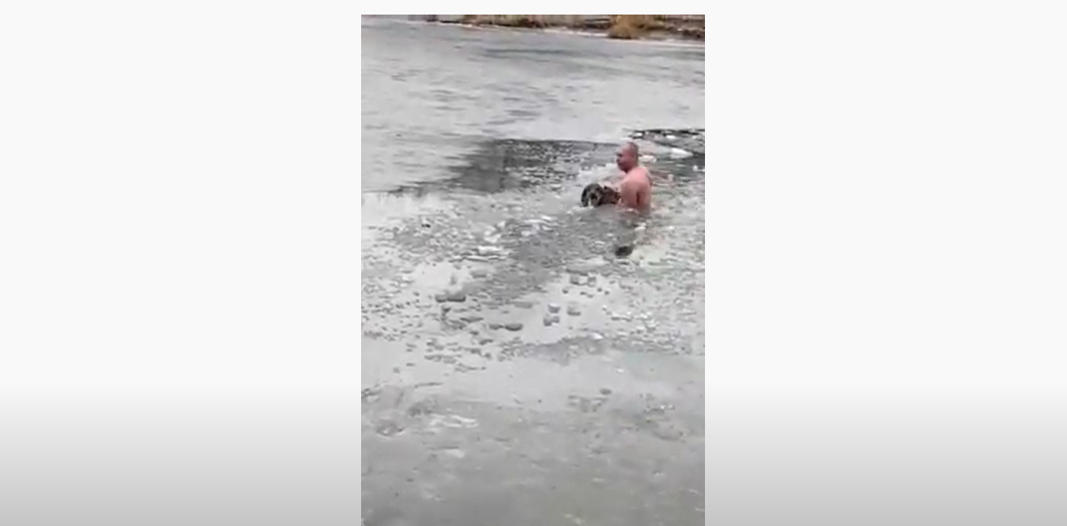Волгоградец спас из ледяной воды собаку