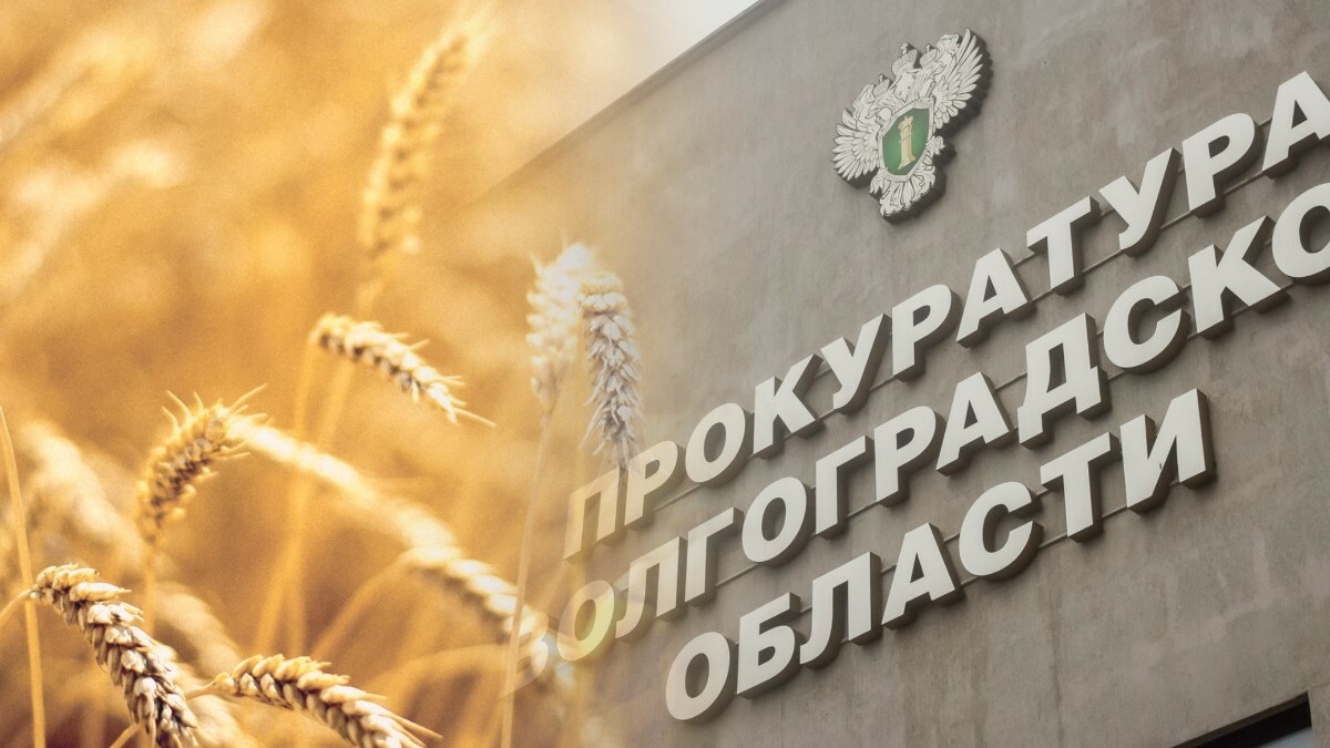Бизнес-партнёр волгоградского зернового магната идёт под суд за растрату