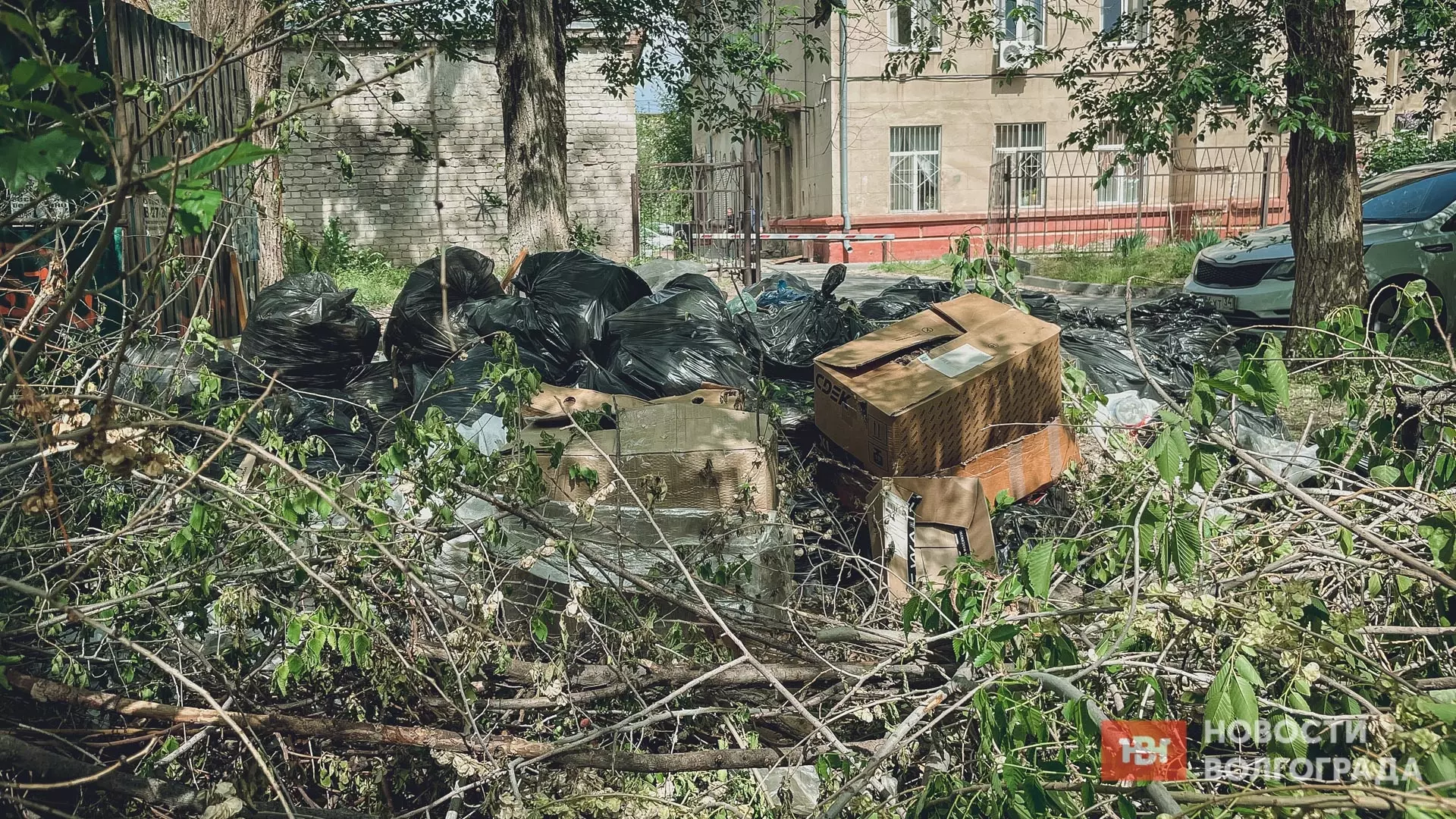 Волгоградцам предложили сверить расчеты "Ситиматика" за вывоз мусора