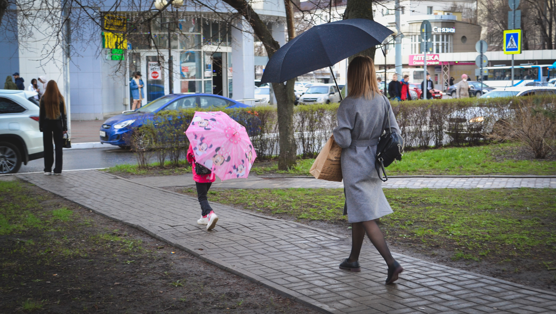 Росгидромет прогнозирует сильные дожди и ливни в Волгоградской области