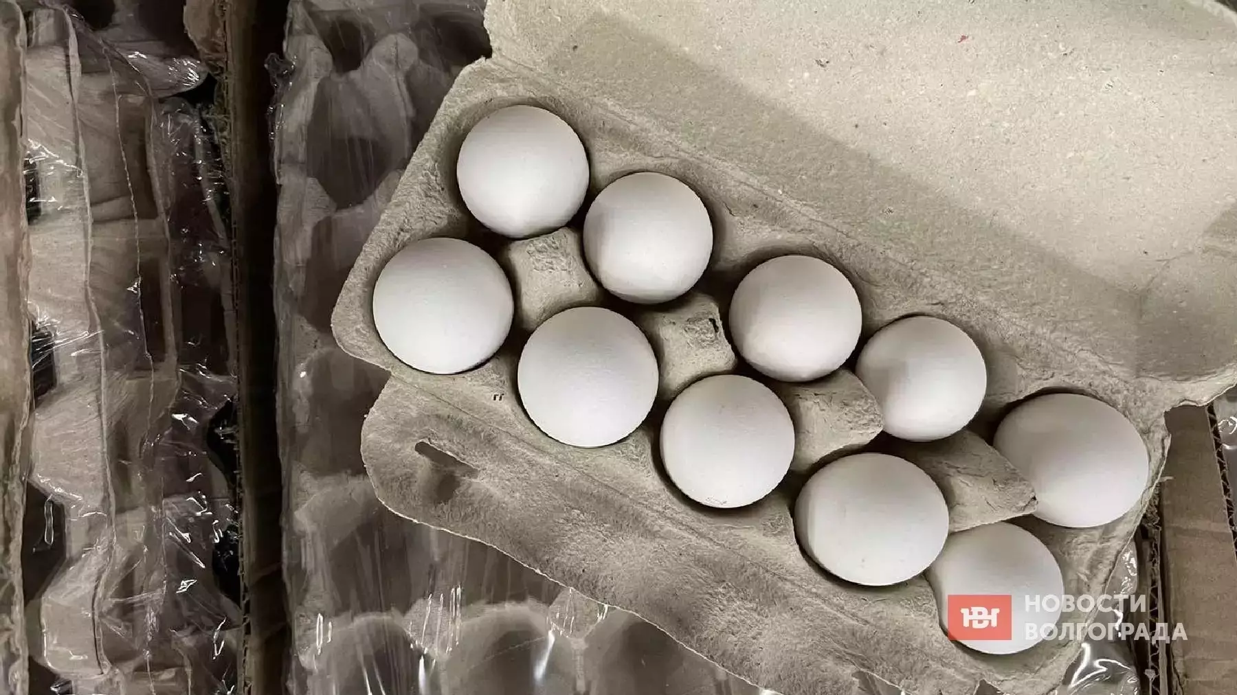 Объём производства яиц в Волгоградской области вырос