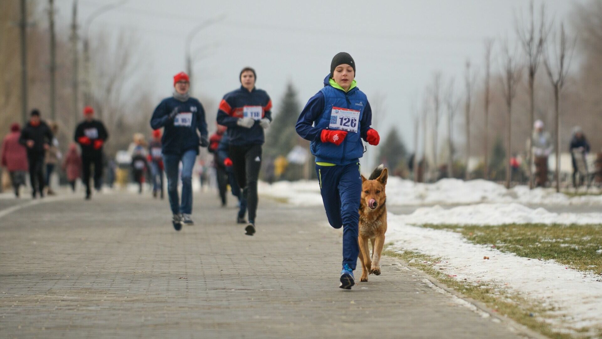 1000 человек приняли участие в легкоатлетическом пробеге в Волгограде