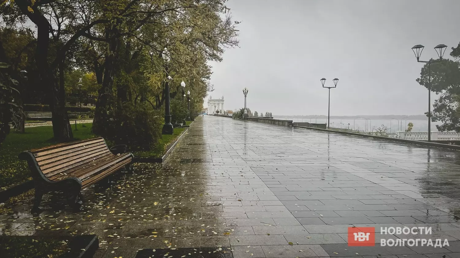 Скверы и парки Волгограда опустели из-за дождя