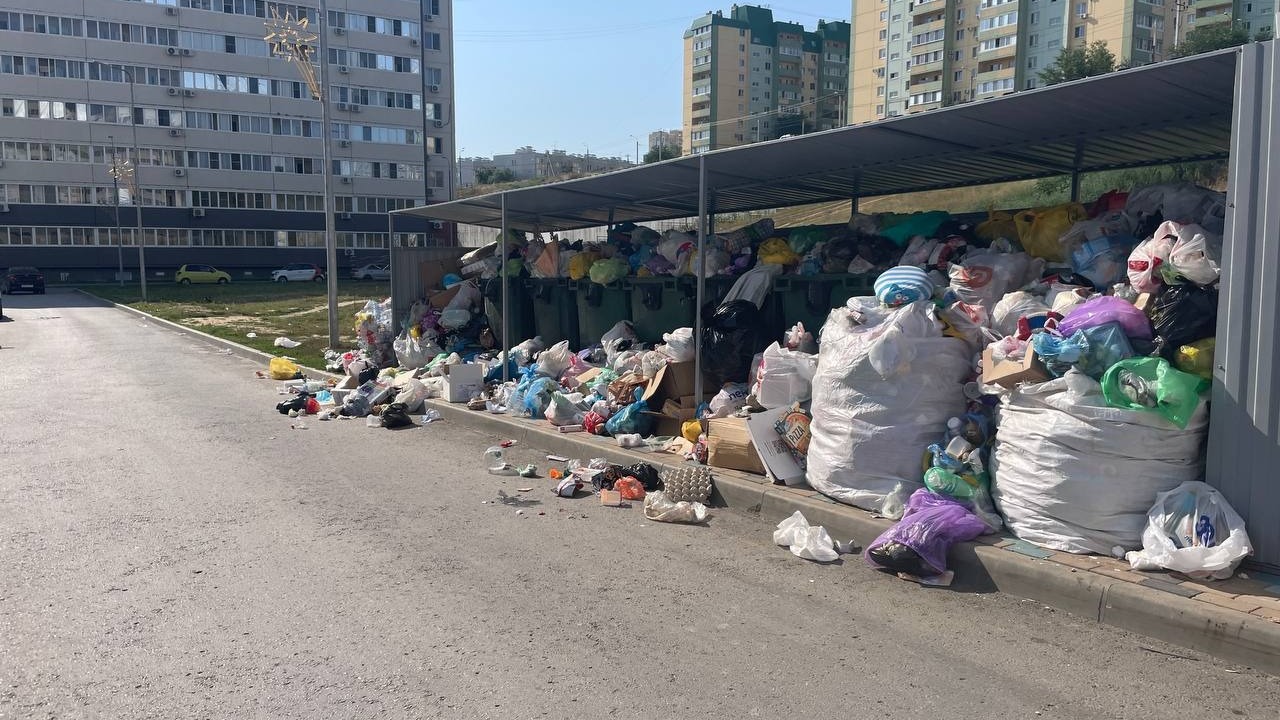 Вопросов по вывозу мусора в Волгограде меньше не становится 