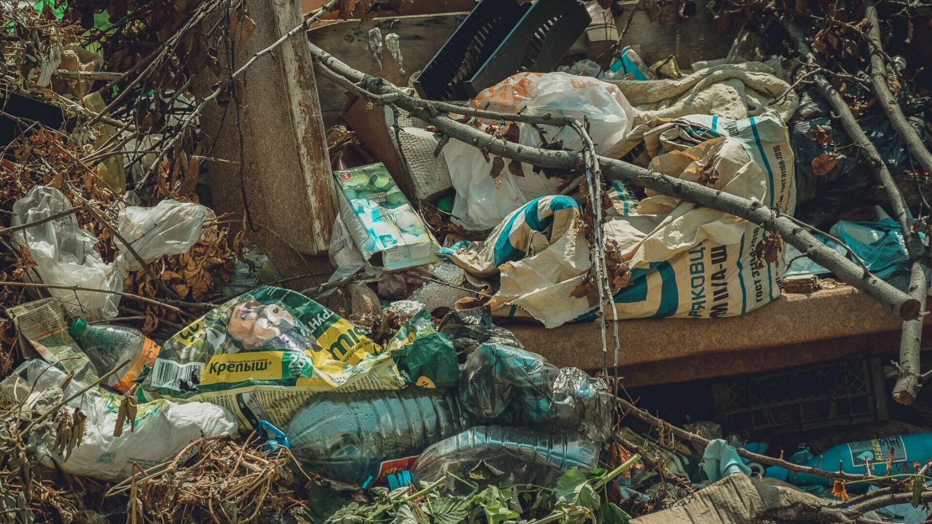 Фиктивную утилизацию мусора от благоустройства проспекта Жукова выявили в Волгограде