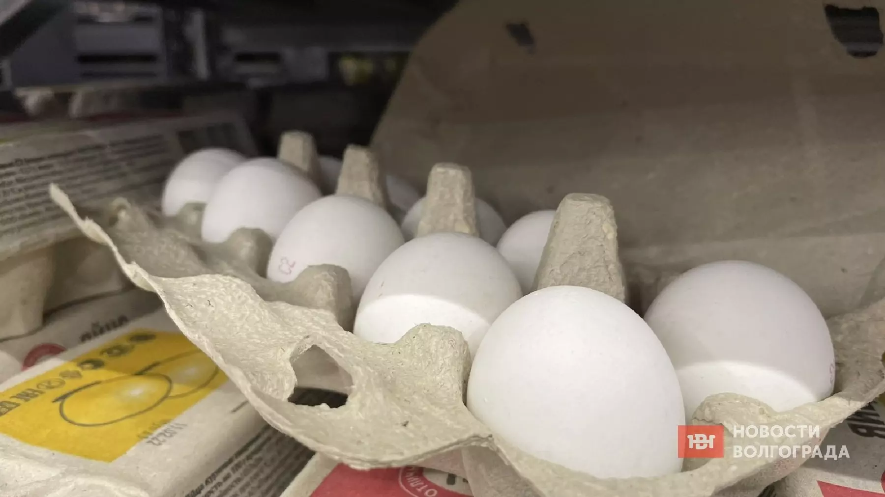 Когда снизиться цена на куриные яйца в Волгограде