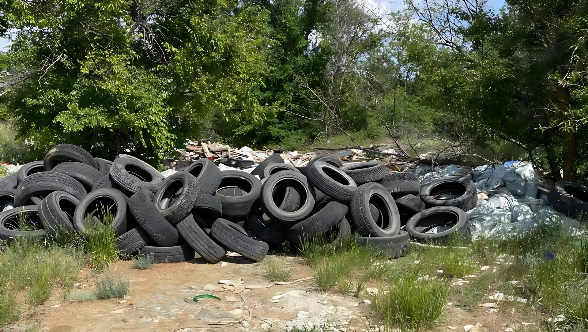 Свалку покрышек и мусора обнаружили в волгоградском экопарке