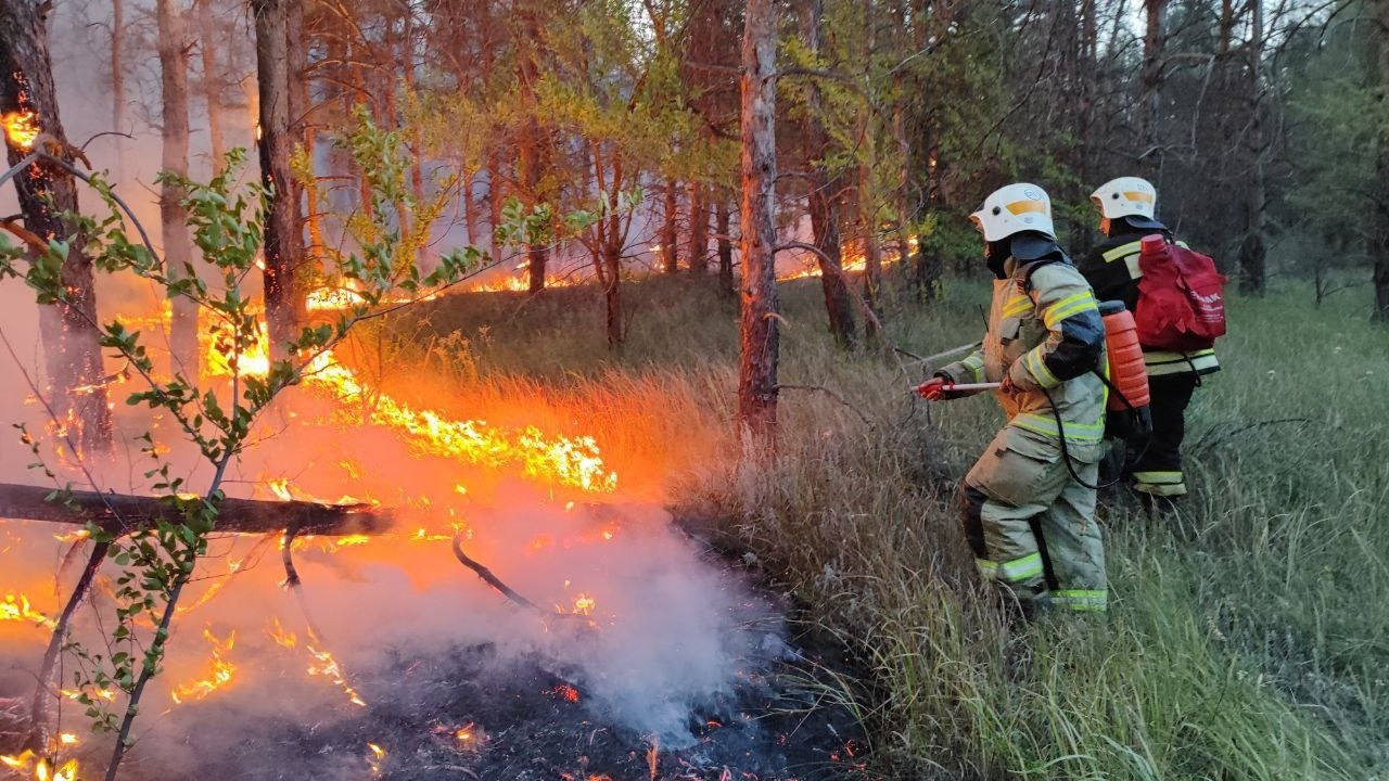 Класс пожарной опасности понизился в Волгоградской области