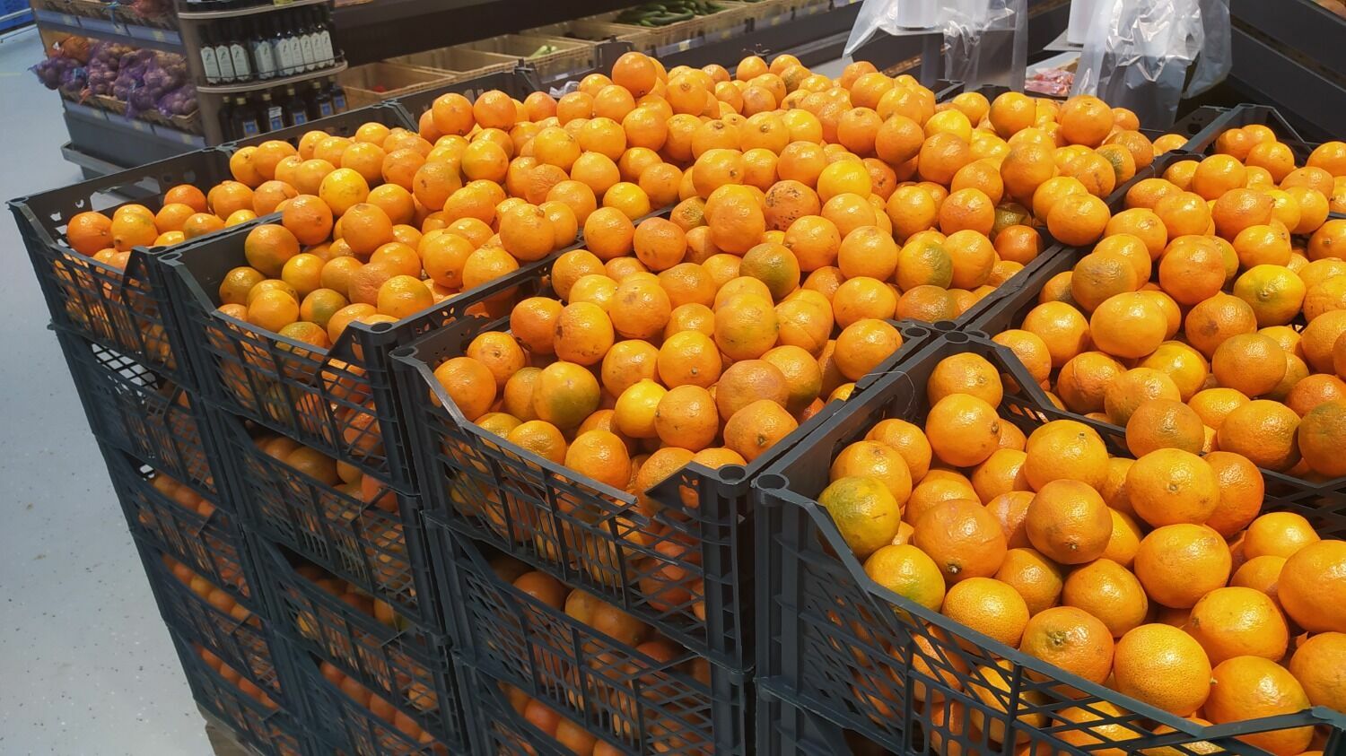 Цена «обычных» мандаринов в «Магните» держится на уровне конкурентов - 59,99 рублей за 1 кг