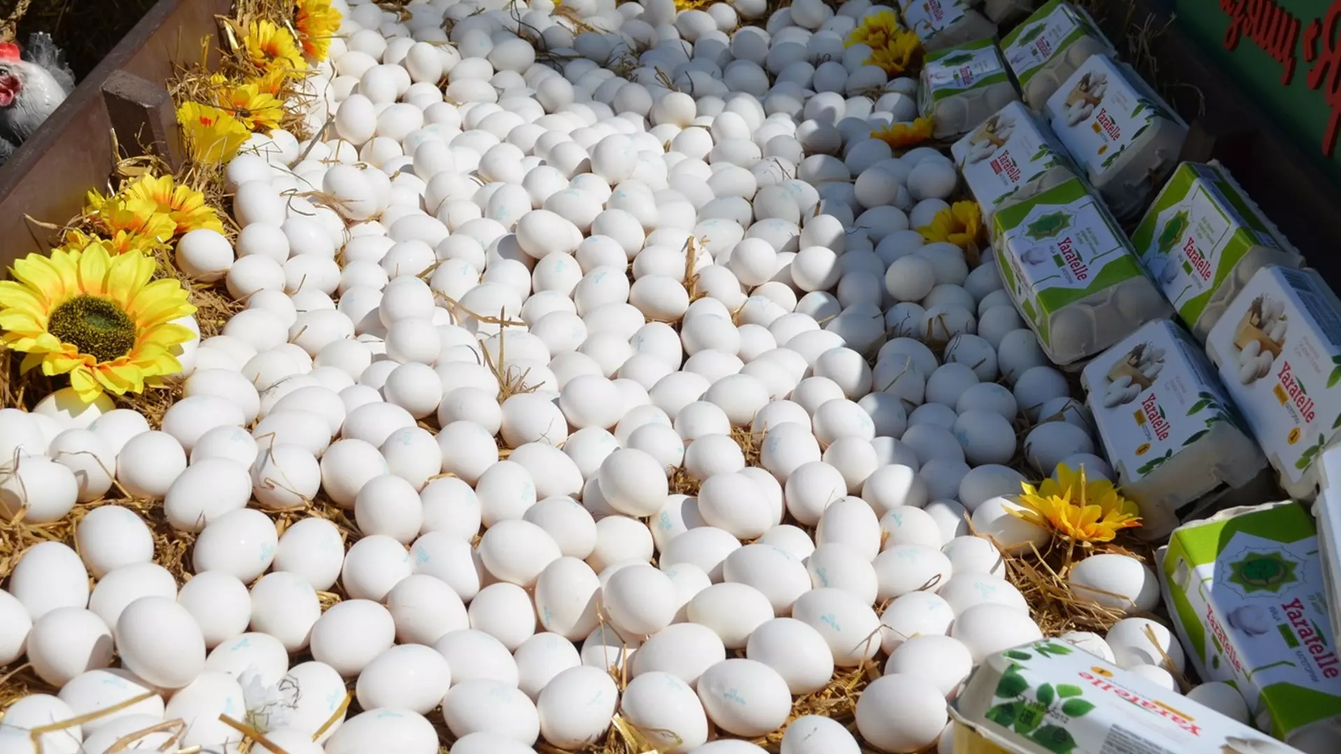 Цены на яйца упали на 0,32%