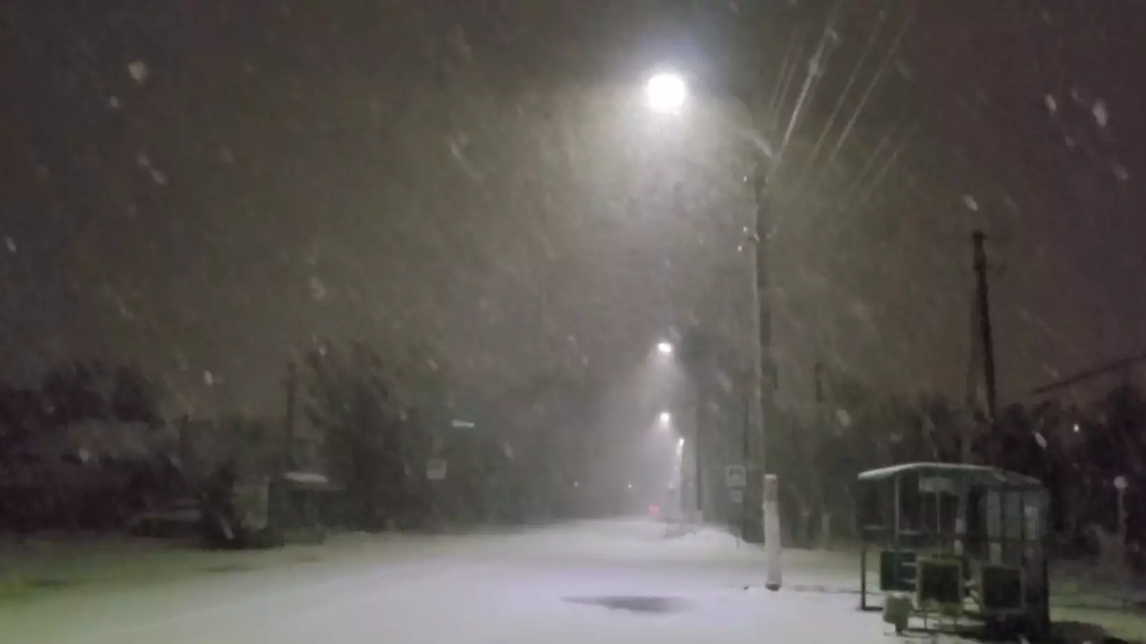 Снежный шторм пришел в Волгоградскую область