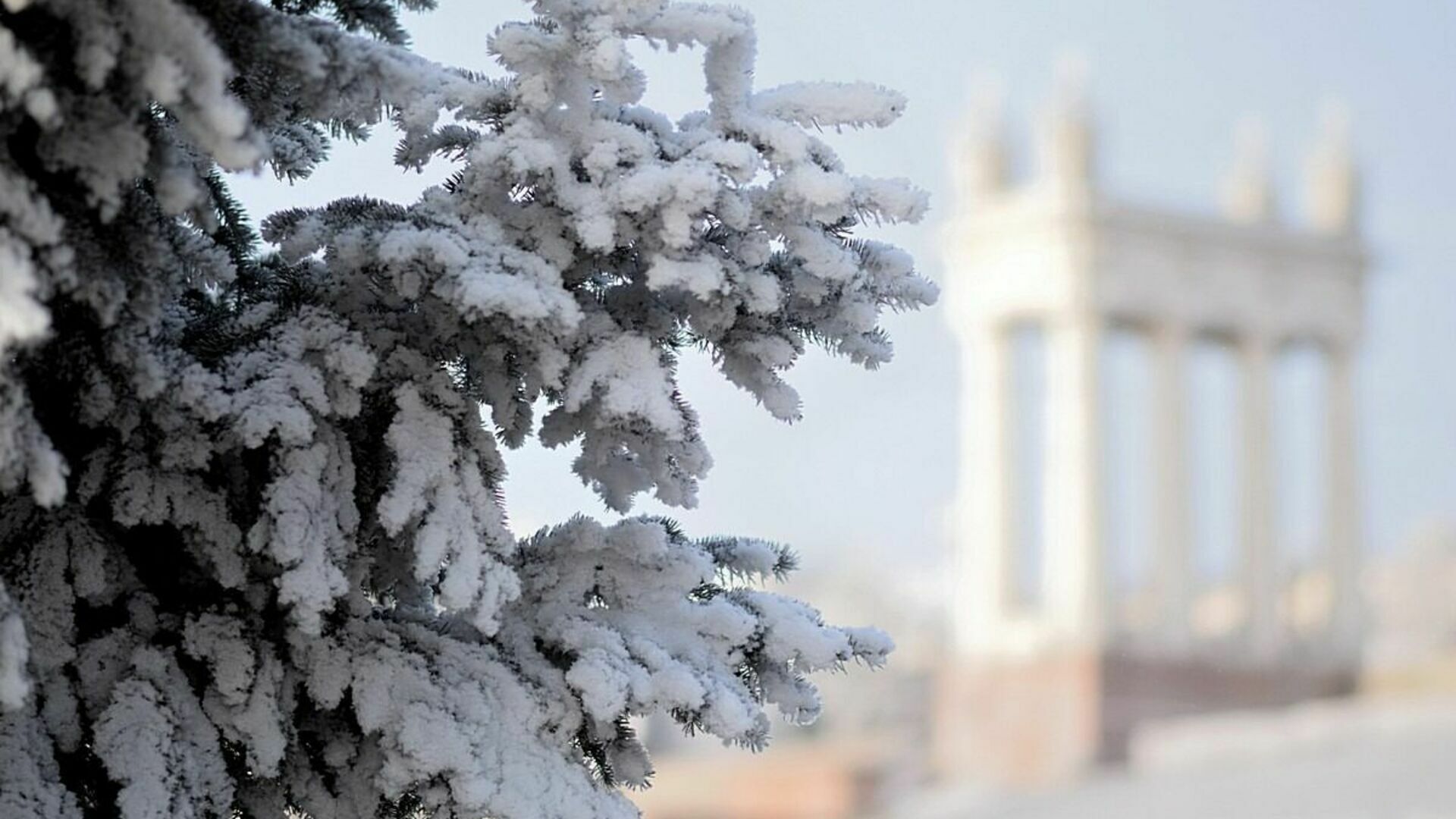 Гололед и мороз до -12 ожидаются в Волгоградской области 1 декабря