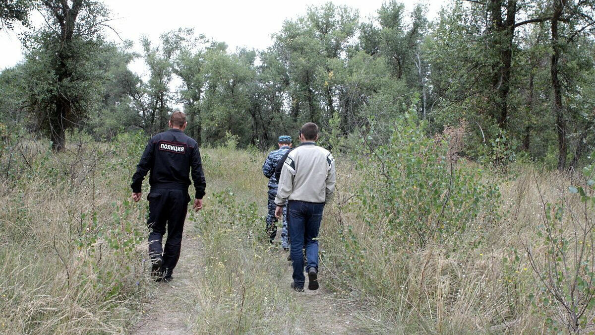 Пропавших подростка и грибника нашли в Волгоградской области