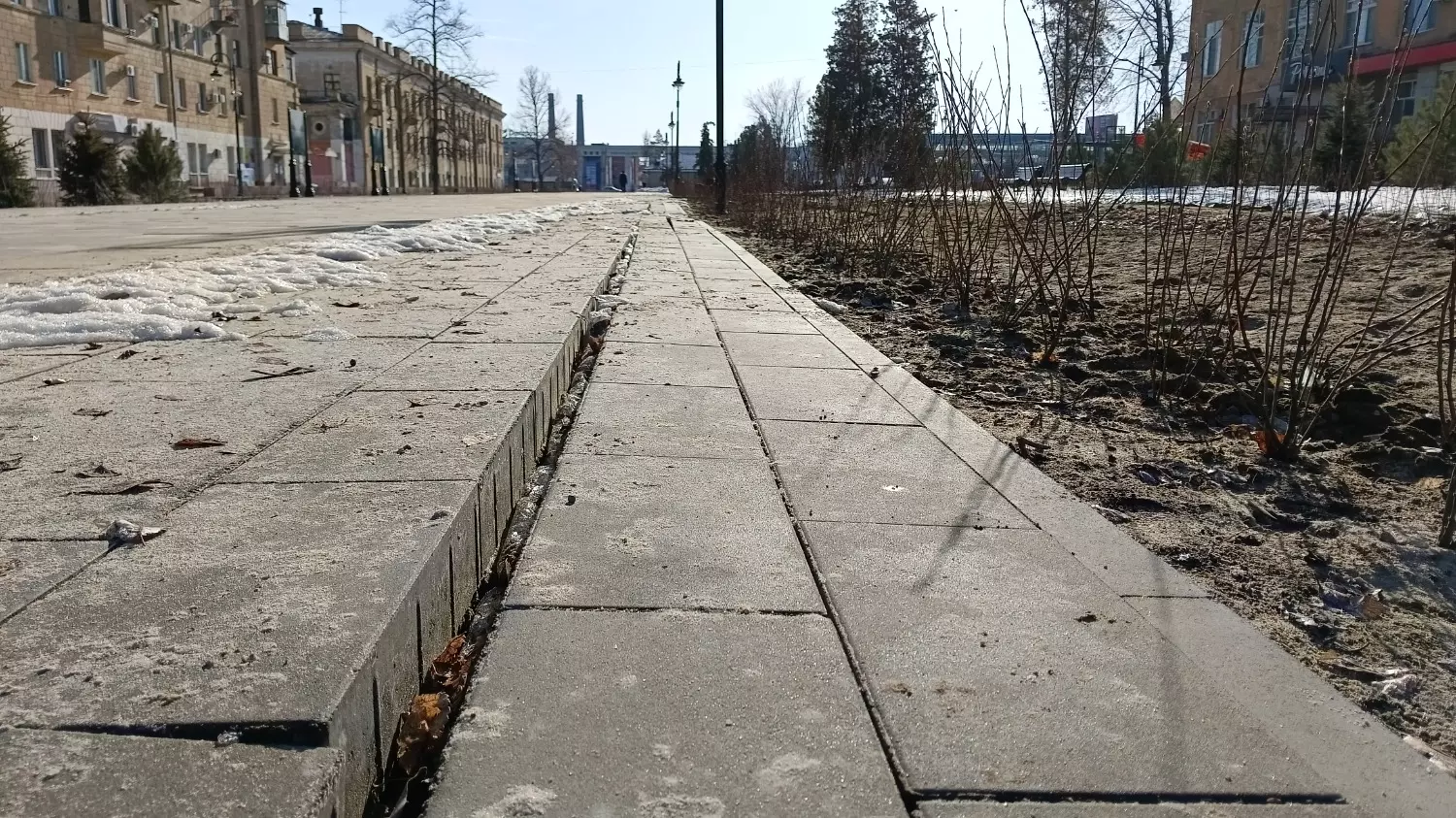 Так сейчас выглядит бульвар по улице Дзержинского в Волгограде