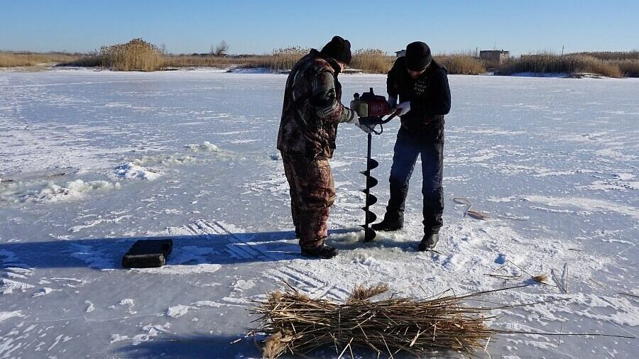 Рыбу от замора спасают экологи в природных парках Волгоградской области