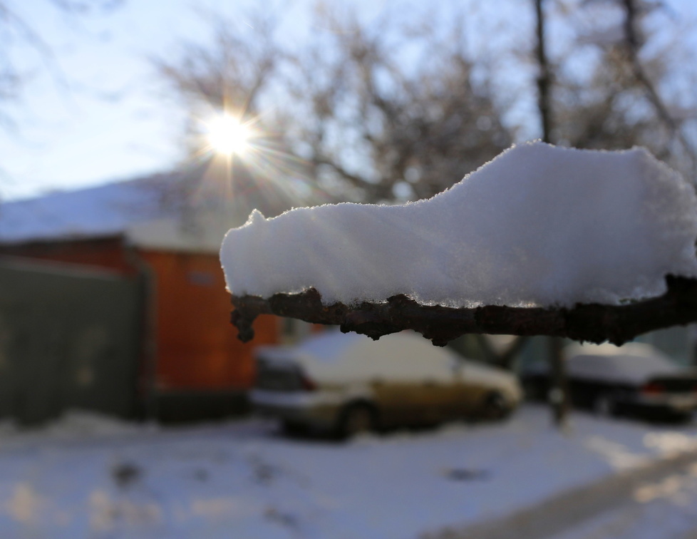 Мокрый снег и 3 градуса тепла ожидаются 7 января в Волгограде