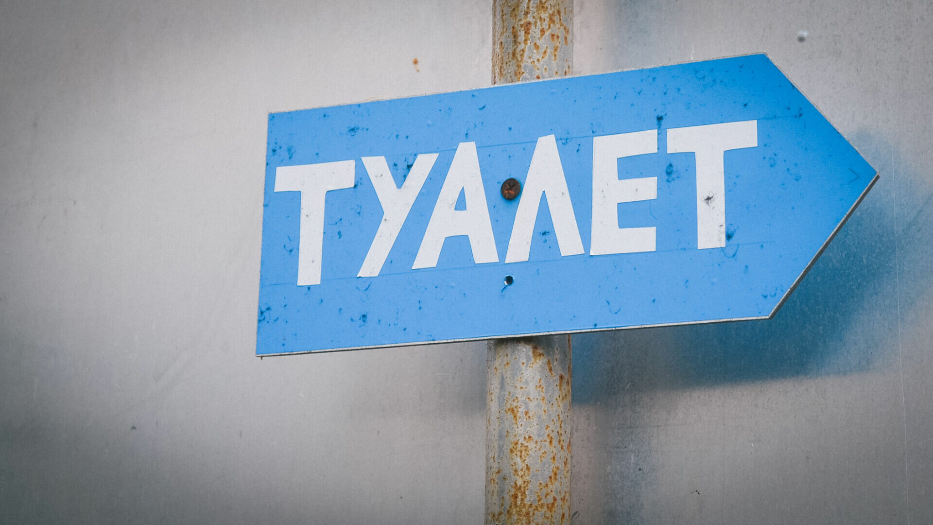 Полмиллиона рублей выделят на содержание туалета в парке Волжского