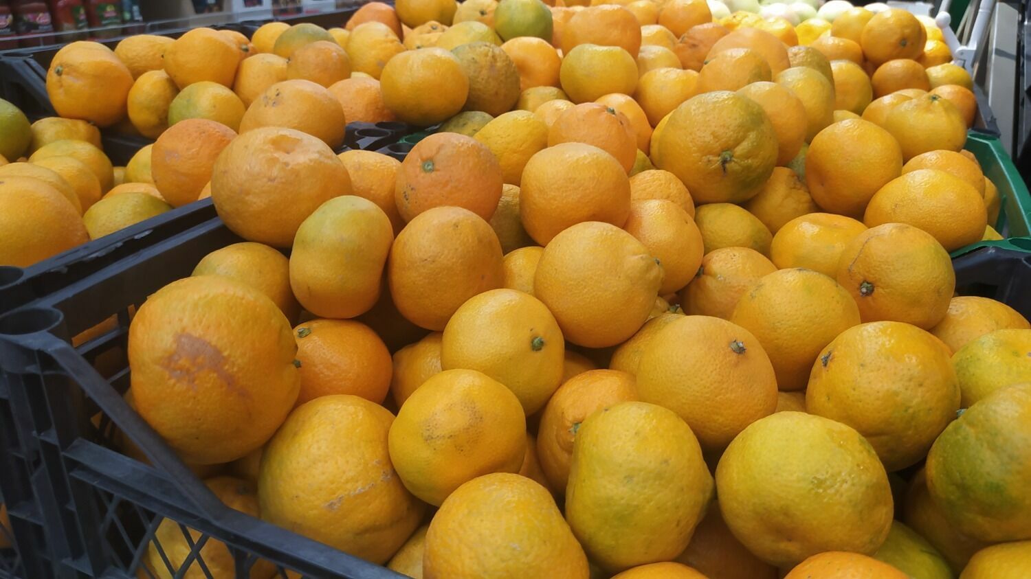 «Обычные» мандарины в волгоградском «Перекрестке» по 79,9 руб. за 1 кг
