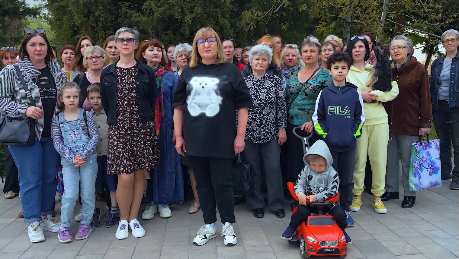 Зоозащитники обвинили чиновников в саботаже собачьей программы в Волгограде