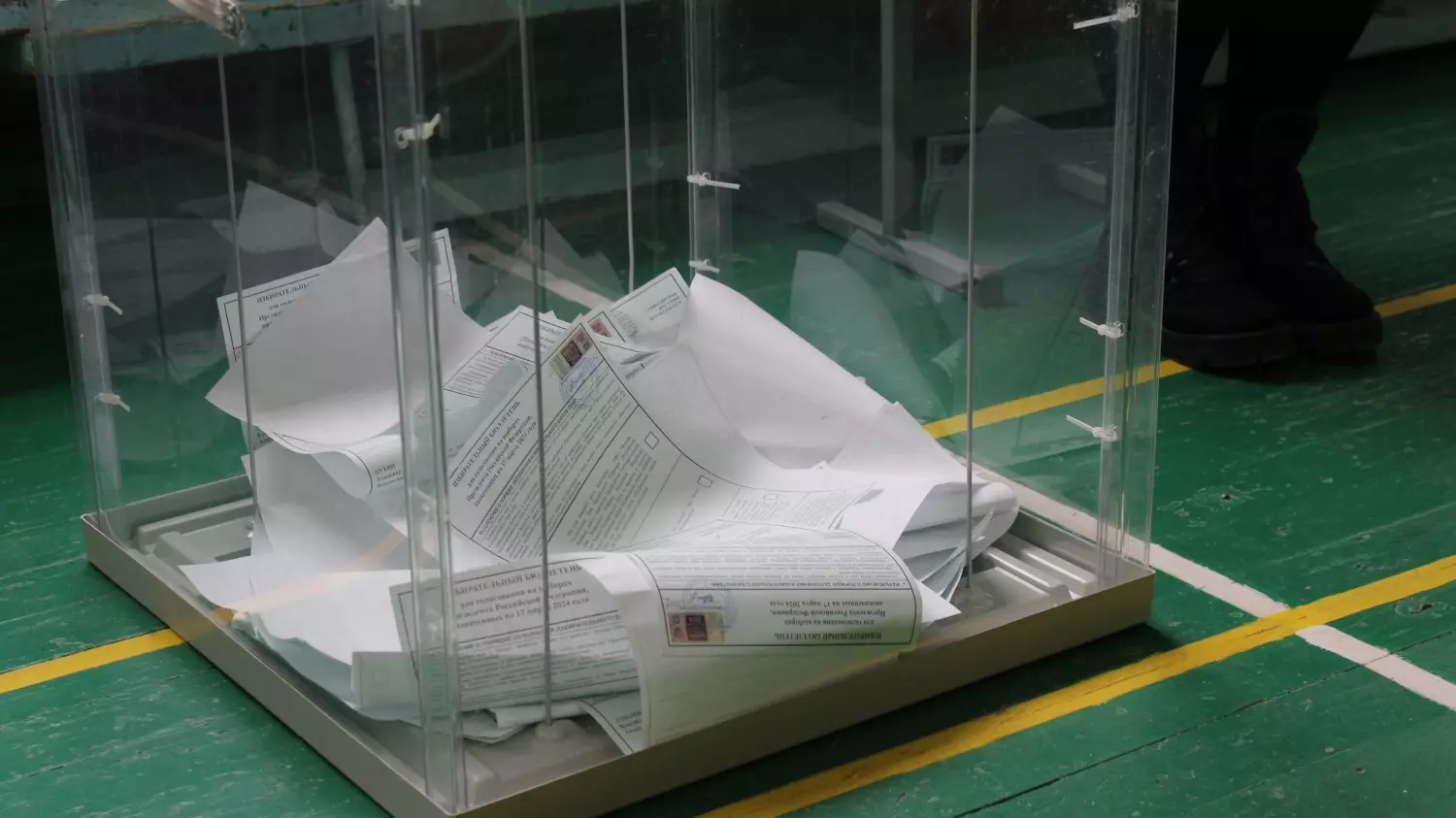 На участке 649 избирателям активно раздают сертификаты на посещение ЦПКиО