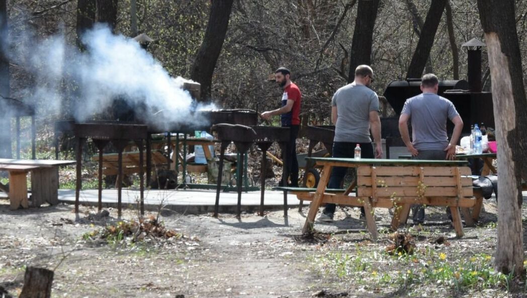 Волжанам срочно понадобилась площадка барбекю в парке за полмиллиона рублей