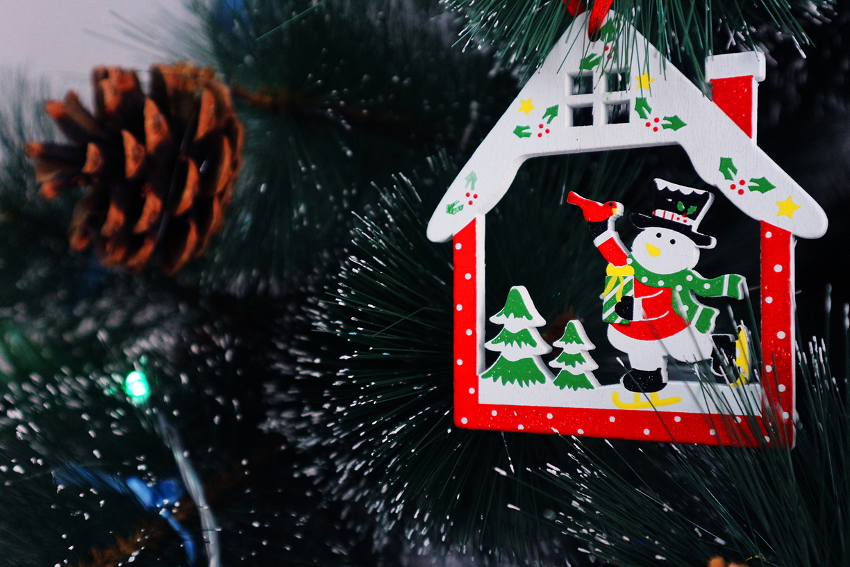 В Комсомольском саду Волгограда открылась резиденция Деда Мороза