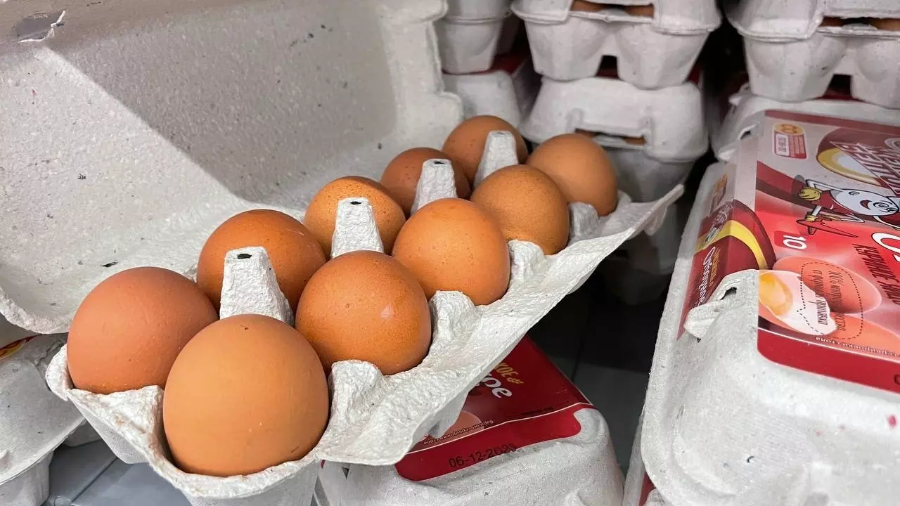 Волгоградский экономист рассказал, что будет с ценами на яйца в 2024 году