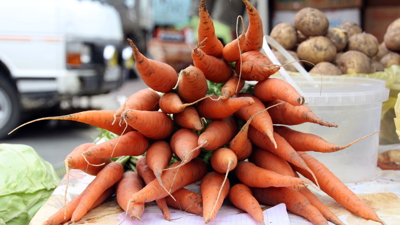 Морковь в Волгограде дорожает быстрее бензина