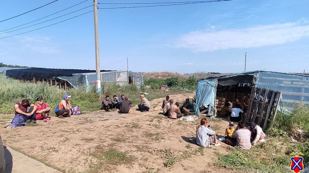 Шесть мигрантов из Волгоградской области вышлют за пределы России