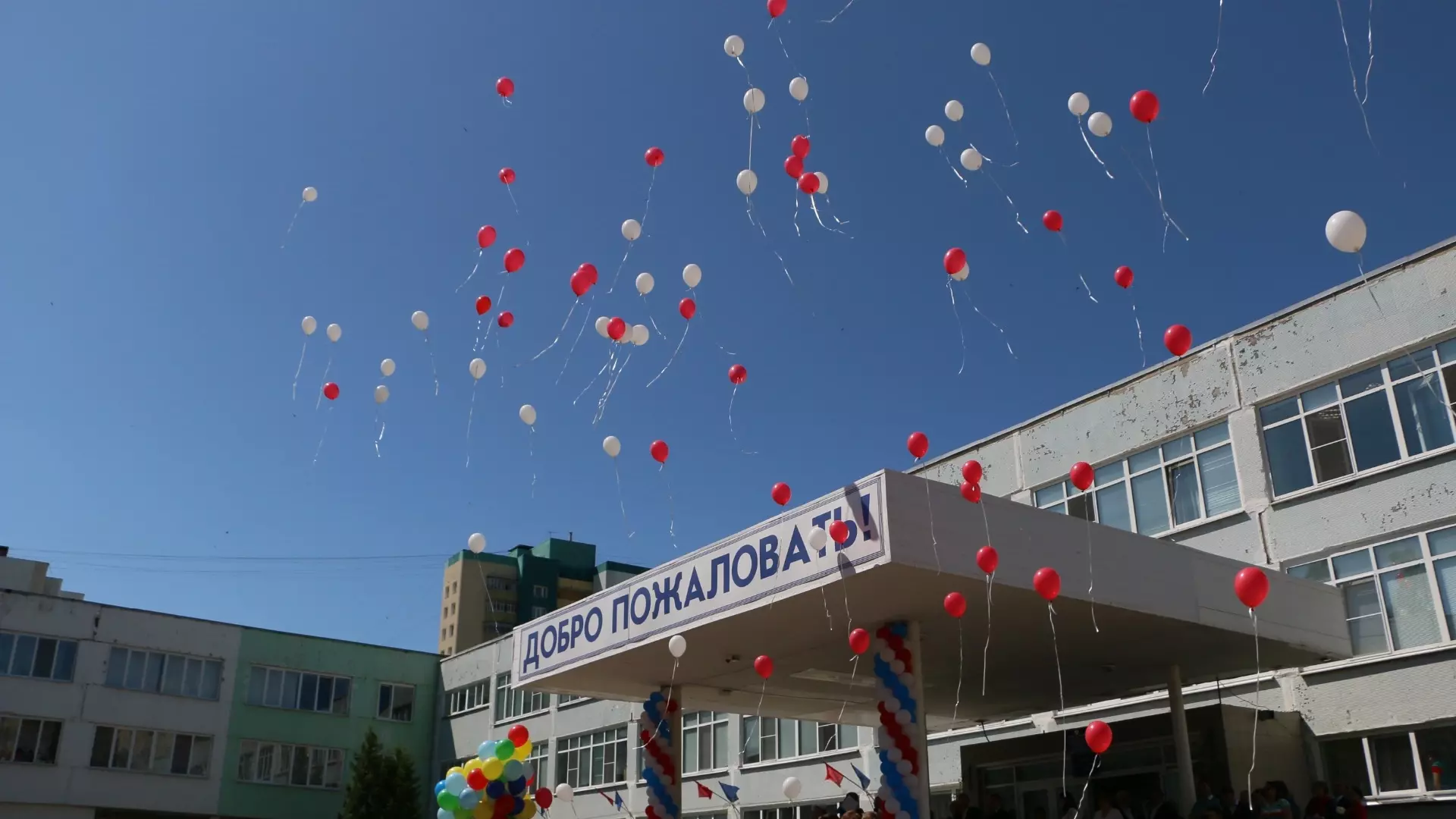 Волгоградских выпускников просят отказаться от запуска гелиевых шаров