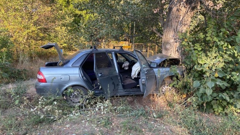 Трое мужчин разбились в ДТП с деревом в Волгоградской области