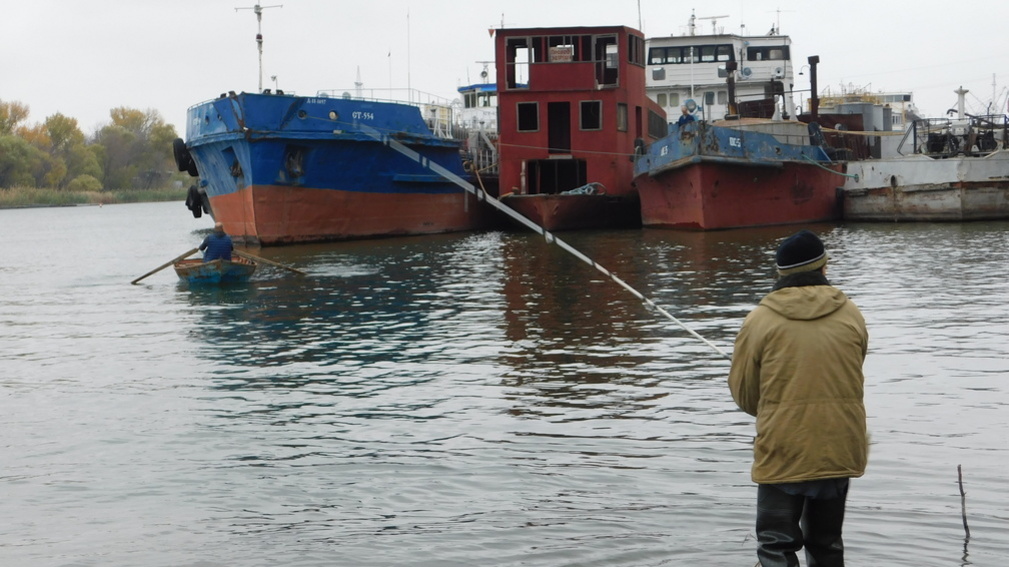 В Волгограде очистят акваторию Волги от затонувших кораблей