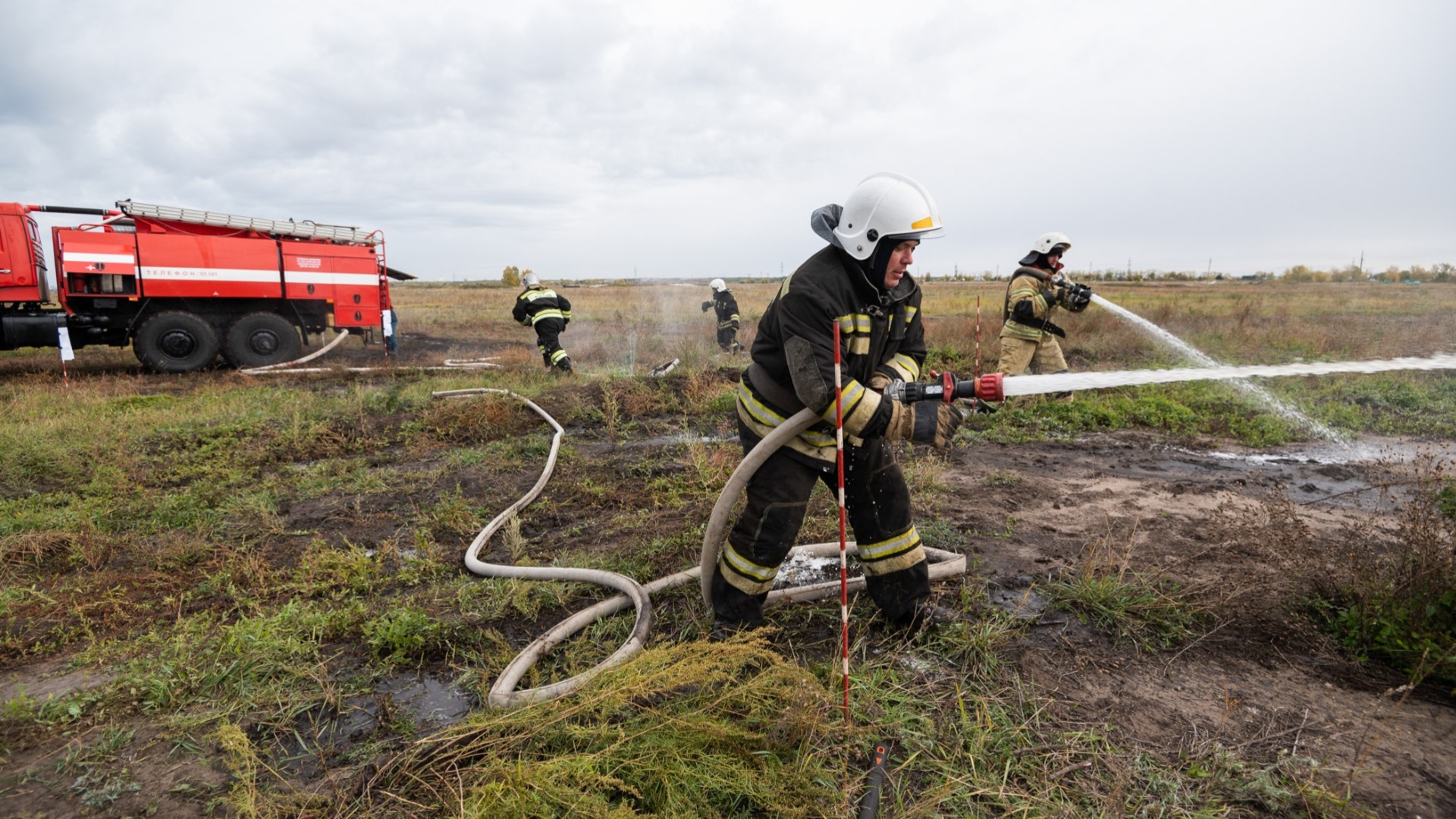 Лес грозит уничтожить огонь в Волгоградской области