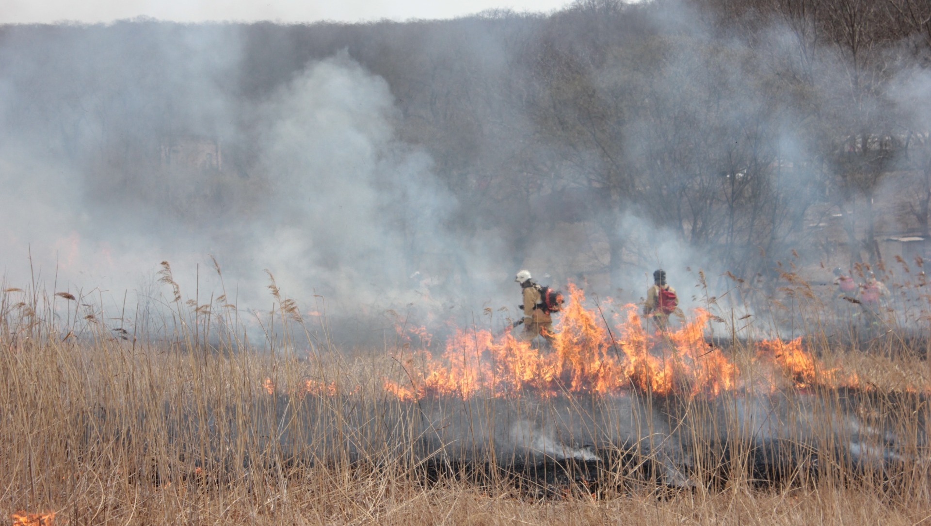 Оранжевый уровень опасности из-за пожаров ввели в Волгоградской области