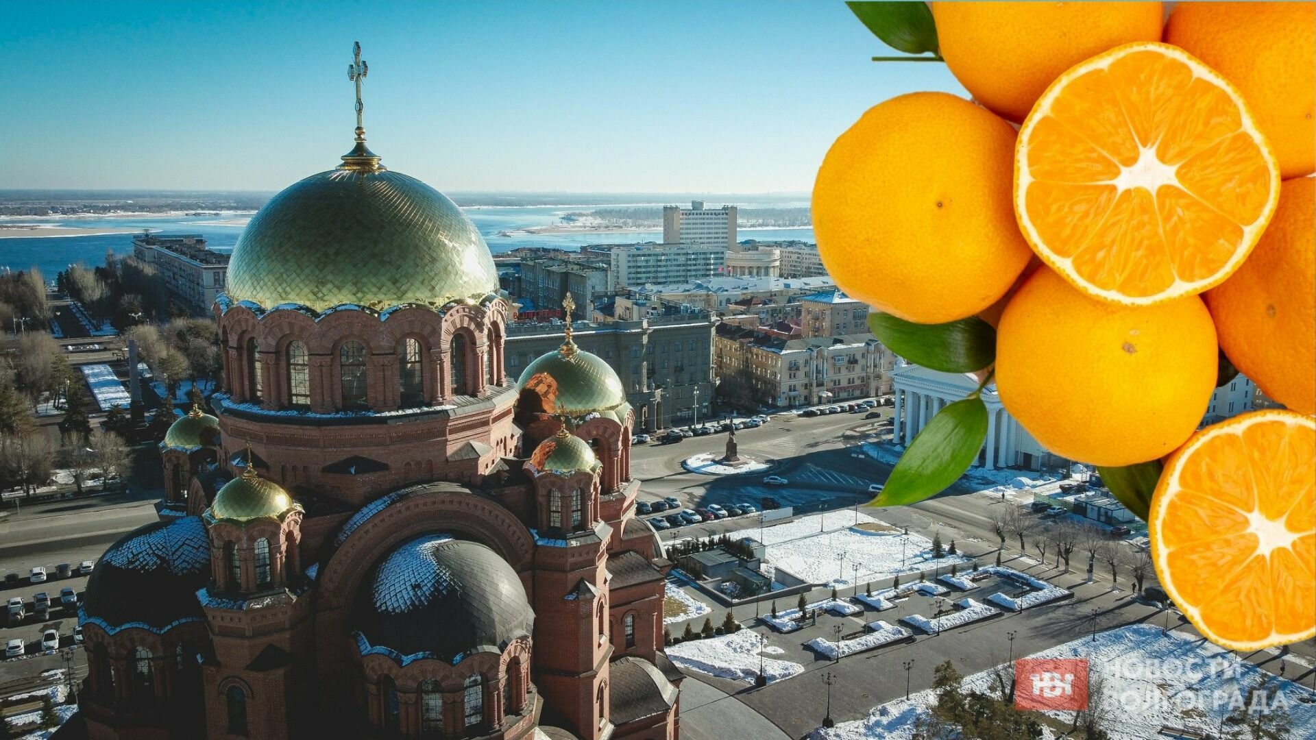 Как выбрать и где купить самые вкусные мандарины в Волгограде