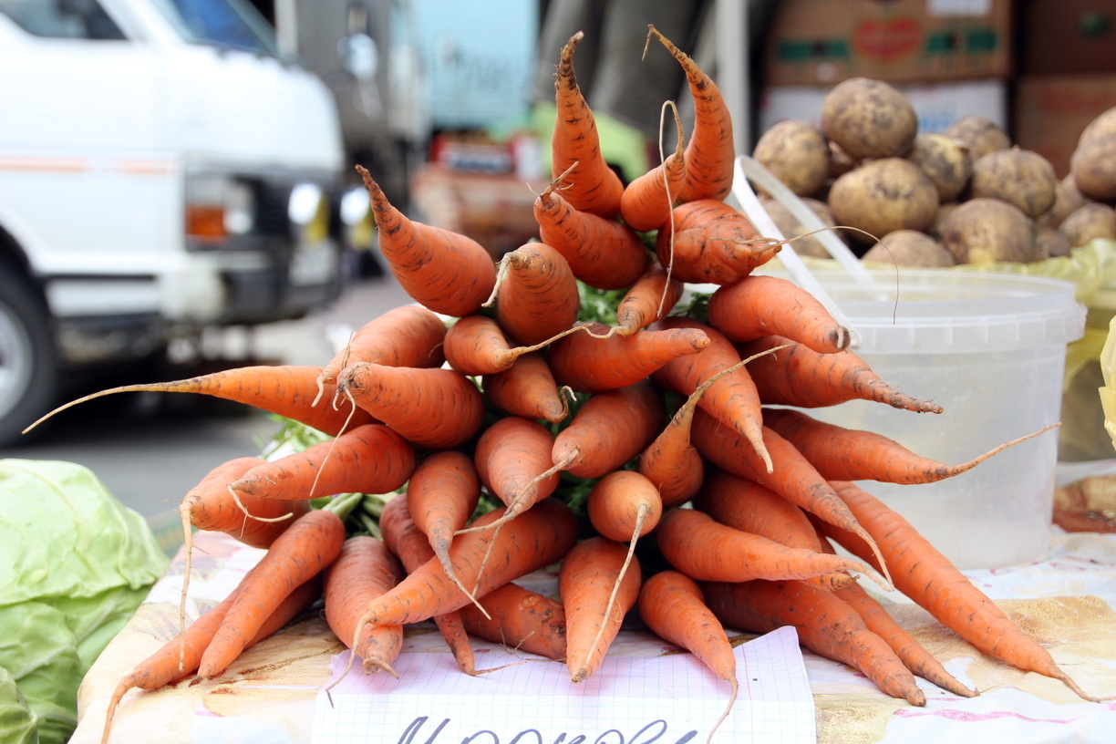 Цена на морковь упала на 23% в Волгоградской области