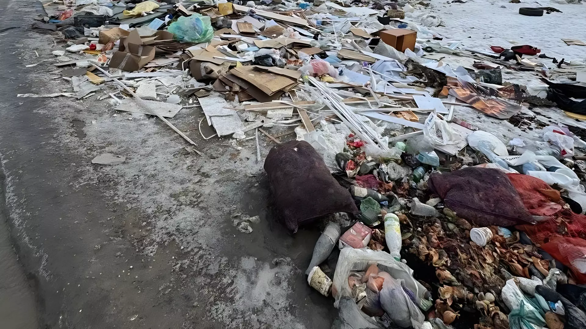 Свалка около Третьей Продольной в Волгограде не добавляет козырей мусорному оператору