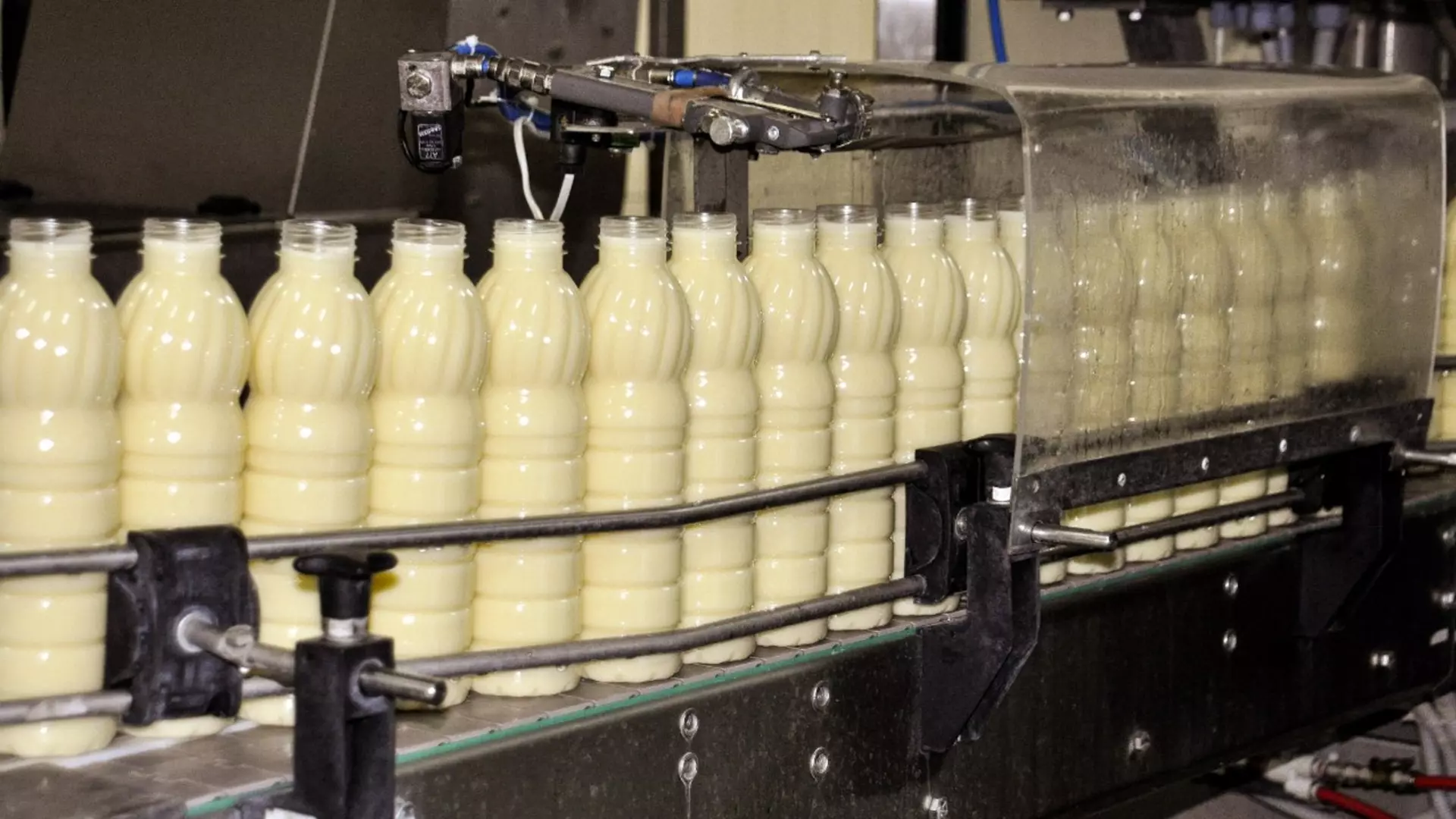 Молочная задача: волгоградский производитель сделал 4 кг молока из 52 кг кефира