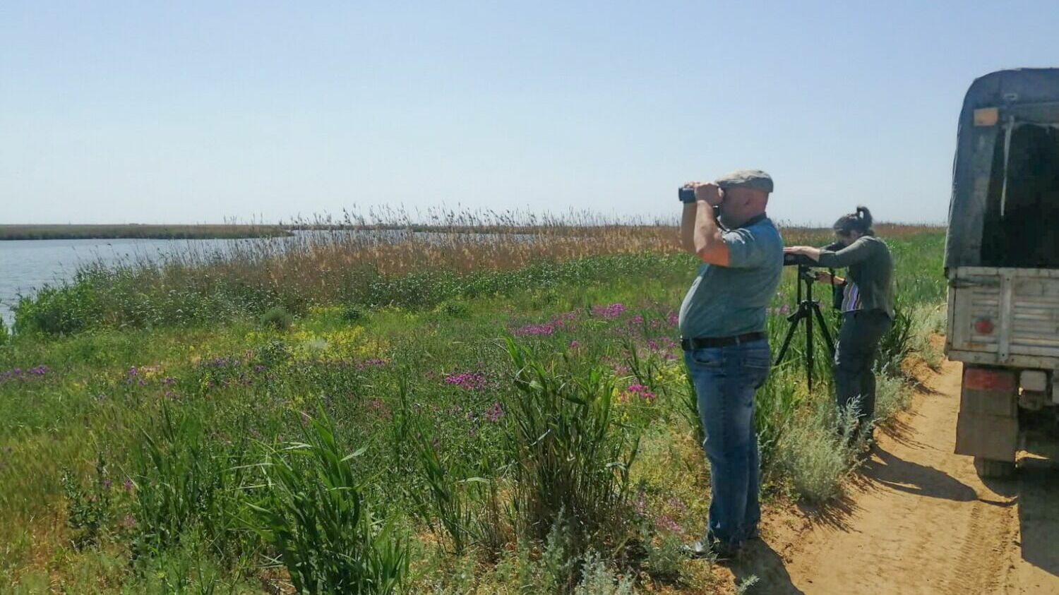 Орнитологи проводят весенний мониторинг видового состава птиц на прудах-накопителях в Светлоярском районе.