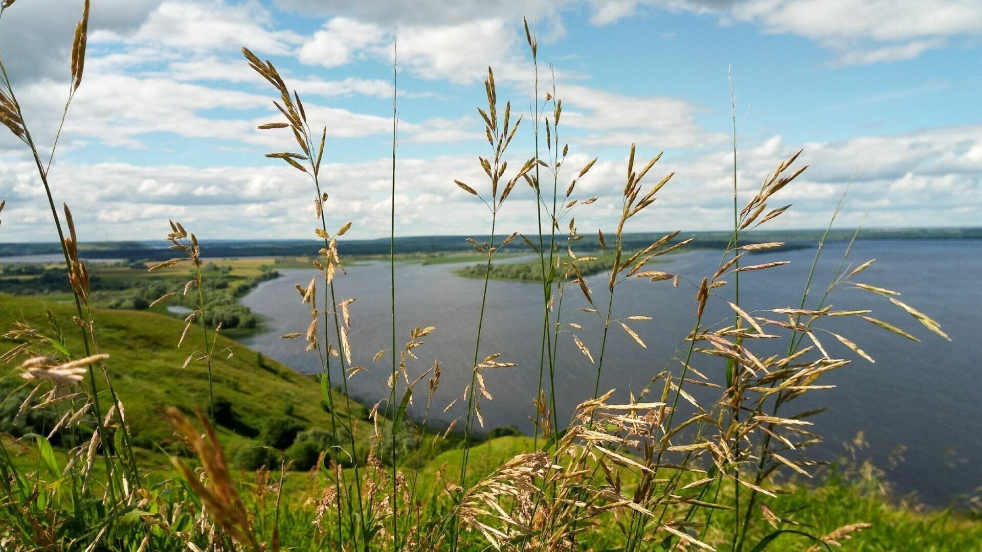 Активная расчистка водных объектов началась в Волгоградской области