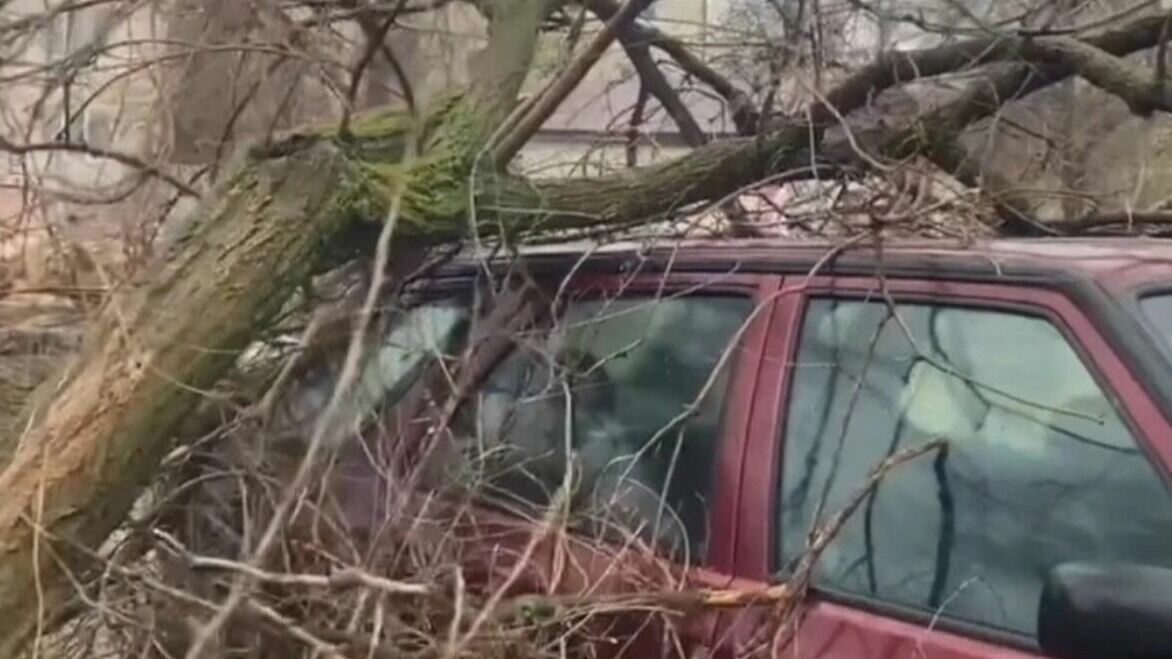 Ветер срывает крыши и валит деревья на машины в Волгоградской области